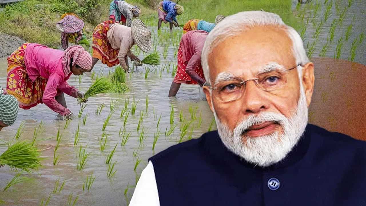 শীঘ্ৰেই মুকলি হ’ব কৃষক সন্মান নিধিৰ ১৯তম কিস্তিঃ এইসকলে নাপাব আঁচনিৰ ধন… শীঘ্ৰেই মুকলি হ’ব কৃষক সন্মান নিধিৰ ১৯তম কিস্তিঃ এইসকলে নাপাব আঁচনিৰ ধন…