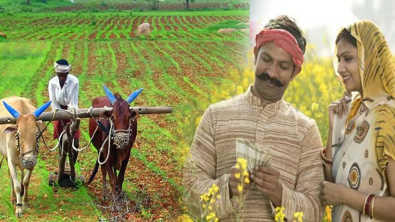 স্বামী-স্ত্ৰী দুয়োগৰাকীয়ে পাব নেকি কিষাণ সন্মান নিধিৰ ধন? চাওঁক আচনিৰ নিয়ম স্বামী-স্ত্ৰী দুয়োগৰাকীয়ে পাব নেকি কিষাণ সন্মান নিধিৰ ধন? চাওঁক আচনিৰ নিয়ম