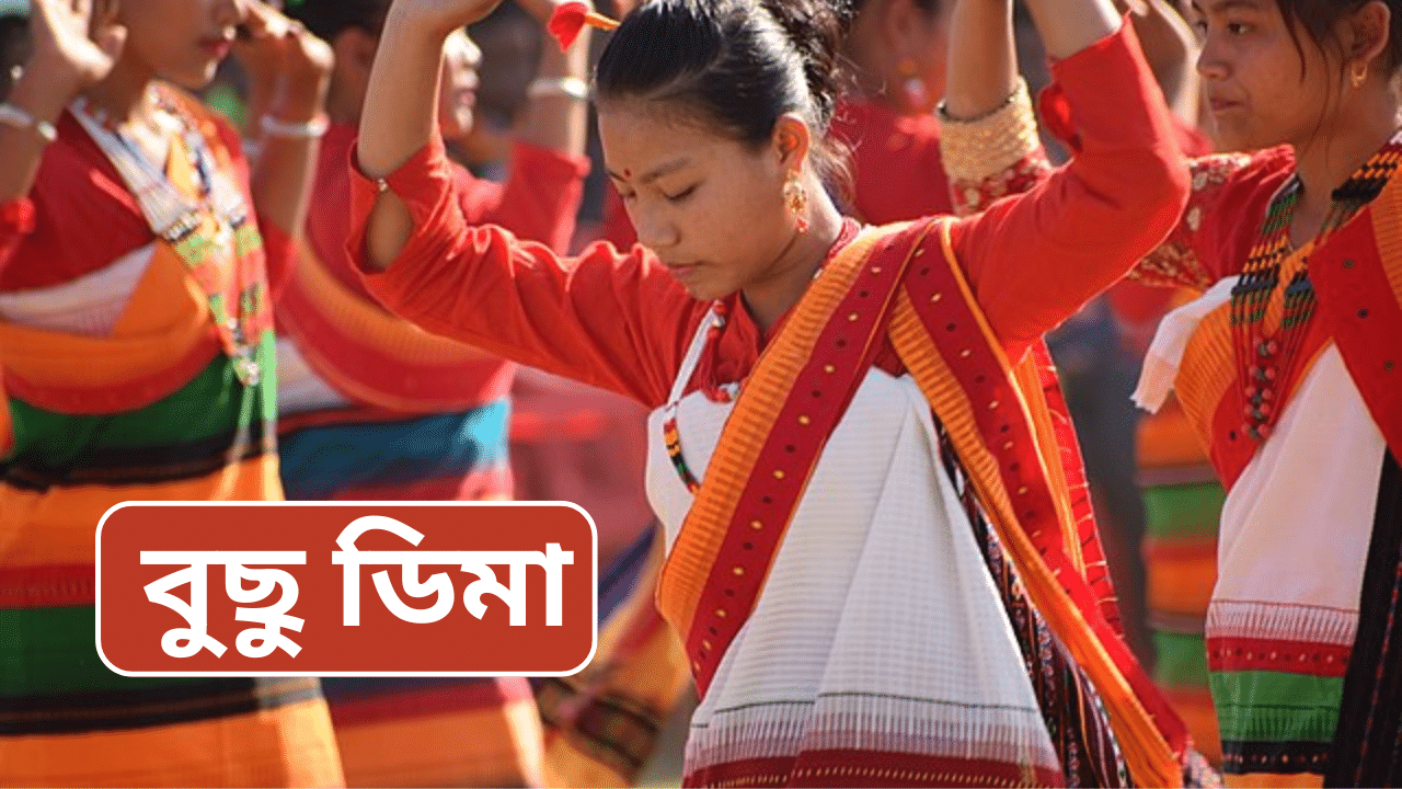 আজি বুছু ডিমাঃ কেনেকৈ ডিমাছা কছাৰীসকলে উদযাপন কৰে এই কৃষিভিত্তিক উৎসৱ, জানক আজি বুছু ডিমাঃ কেনেকৈ ডিমাছা কছাৰীসকলে উদযাপন কৰে এই কৃষিভিত্তিক উৎসৱ, জানক