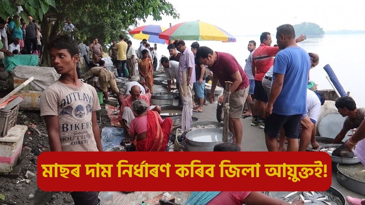 মাঘ বিহুৰ সময়ত কিমান হ’ব মাছৰ দাম? ৰাজ্যৰ মীন বিভাগে জাৰি কৰিলে বিশেষ নিৰ্দেশনা! মাঘ বিহুৰ সময়ত কিমান হ’ব মাছৰ দাম? ৰাজ্যৰ মীন বিভাগে জাৰি কৰিলে বিশেষ নিৰ্দেশনা!