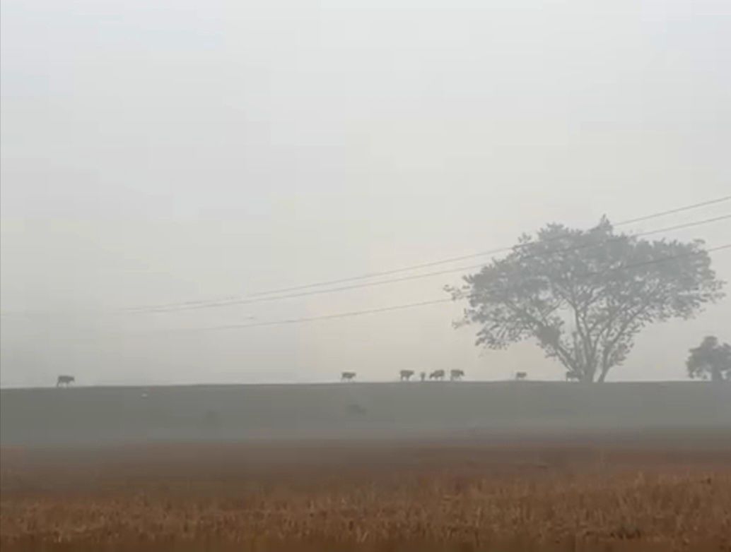 ইয়াৰ মাজতে বতৰ বিজ্ঞান বিভাগে জাৰি কৰিছে সতৰ্কবাণী। অসমৰ ৮ খন জিলাৰ জনতাক বিশেষভাৱে সাৱধান হৈ থকাৰ আহ্বান। ৰাজ্যৰ ১৬খন জিলাত বতৰ বিজ্ঞান বিভাগে জাৰি কৰিছে Yellow Alert।
