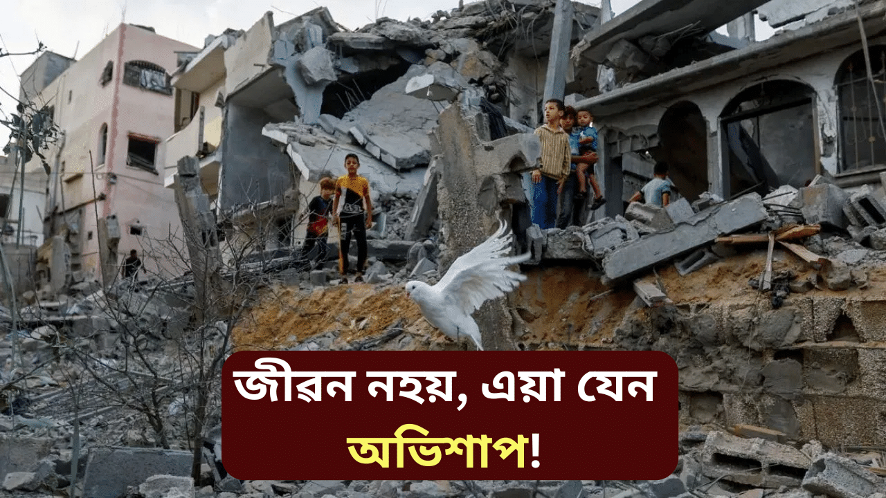 গাজাত এতিয়া মৃতদেহৰ দ’ম! শীতৰ প্ৰকোপ, ইজৰাইলৰ আক্ৰমণত চলিছে মৃত্যুযজ্ঞ… গাজাত এতিয়া মৃতদেহৰ দ’ম! শীতৰ প্ৰকোপ, ইজৰাইলৰ আক্ৰমণত চলিছে মৃত্যুযজ্ঞ…