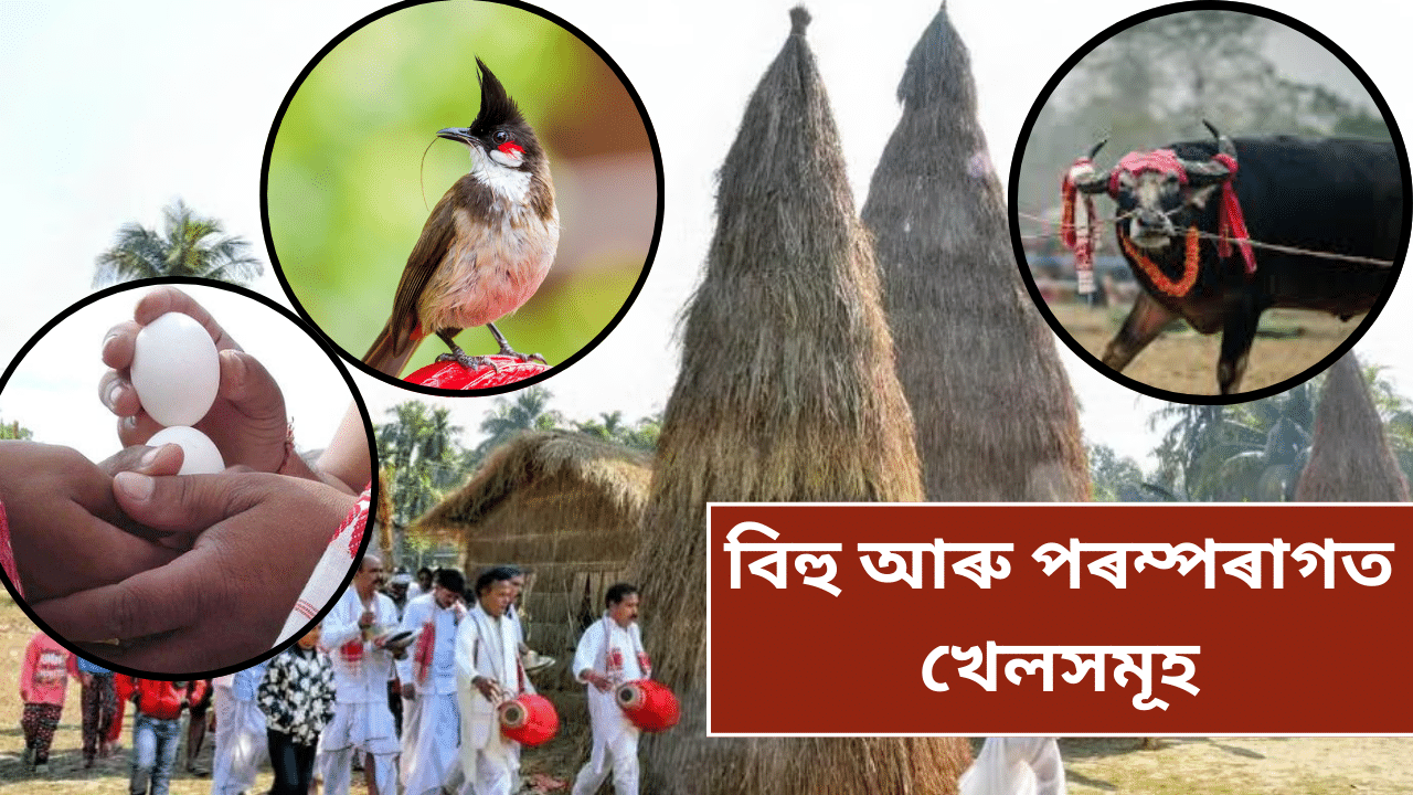 Magh bihu 2025: মাঘ বিহু আৰু এই সময়ত অনুষ্ঠিত কৰা বিশেষ পৰম্পৰাগত খেলসমূহ...