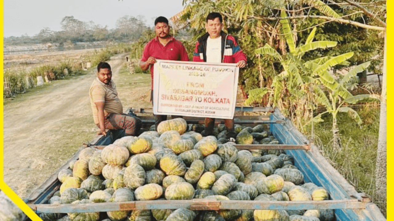 জানিব পৰা মতে, শিৱসাগৰৰ দিচাংমুখৰ ৰঙালাও প্ৰেৰণ কৰা হ'ব কলকাতালৈ। কৃষি বিভাগৰ সহযোগত শিৱসাগৰৰ দিচাংমুখৰ পৰা ২৫ মেট্ৰিকটন ৰঙালাও কলকাতাৰ বজাৰলৈ প্ৰেৰণ কৰা হ'ব।গতিকে কলকাতাৰ বজাৰত উপলব্ধ হ'ব অসমৰ ৰঙালাও।