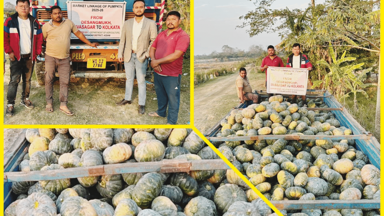 ইয়াৰ মাজতে এইবাৰ শিৱসাগৰৰ যুৱকসকলে গ্ৰহণ কৰা এই পদক্ষেপৰ শলাগ লৈছে মুখ্যমন্ত্ৰী হিমন্ত বিশ্ব শৰ্মাই। সামাজিক মাধ্যমৰ জৰিয়তে শৰ্মাই কয় যে, ২৫ মেট্ৰিক টন ৰঙালাও কলকাতাৰ বজাৰলৈ পঠিওৱাৰ অসমৰ কৃষকসকলৰ বাবে শুভ বাৰ্তা।
