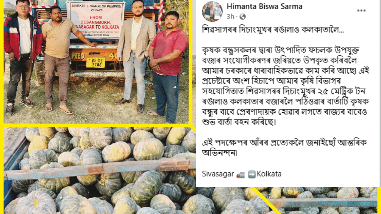 সামাজিক মাধ্যমত শৰ্মাই লিখে- কৃষক বন্ধুসকলৰ দ্বাৰা উৎপাদিত ফচলক উপযুক্ত বজাৰ সংযোগীকৰণৰ জৰিয়তে উপকৃত কৰিবলৈ আমাৰ চৰকাৰে ধাৰাবাহিকভাৱে কাম কৰি আছে৷ এই প্ৰচেষ্টাৰে অংশ হিচাপে আমাৰ কৃষি বিভাগৰ সহযোগিতাত শিৱসাগৰৰ দিচাংমুখৰ ২৫ মেট্ৰিক টন ৰঙালাও কলকাতাৰ বজাৰলৈ পঠিওৱাৰ বাৰ্তাটি কৃষক বন্ধুৰ বাবে প্ৰেৰণাদায়ক হোৱাৰ লগতে ৰাজ্যৰ বাবেও শুভ বাৰ্তা বহন কৰিছে।