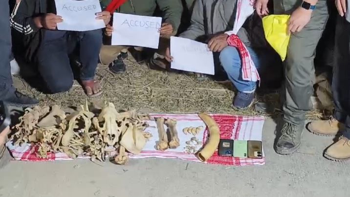 দুখন বাইকত আনিছিল বন্যজন্তুৰ অংগসমূহ ৷ সামগ্ৰীখিনি বিক্ৰী কৰাৰ যো-জা চলাওঁতেই তিনিজন লোকক আটক কৰে আৰক্ষীয়ে ৷