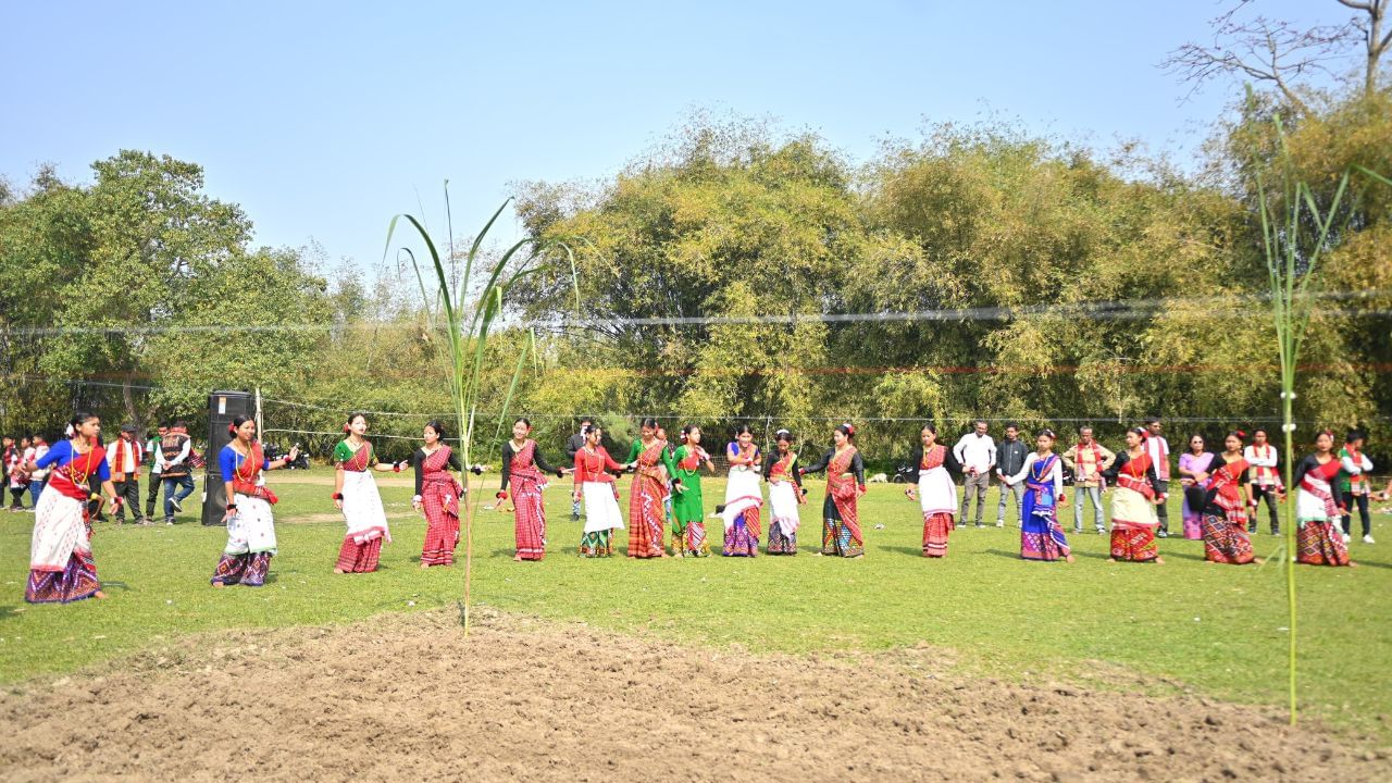 পূৰ্বতে আলি আঃয়ে লৃগাং উৎসৱ পাঁচদিনীয়াকৈ পালন কৰা হৈছিল। প্ৰথমদিনা ৰীতি অনুসৰি শস্য সিঁচা হয়। পথাৰৰ পূব দিশৰ এটা কোণৰ প্ৰায় ২-৩ফুট বহল আৰু ৩-৪ফুট দীঘল ঠাই এটুকুৰা চাফ-চিকুণ কৰা হয়।