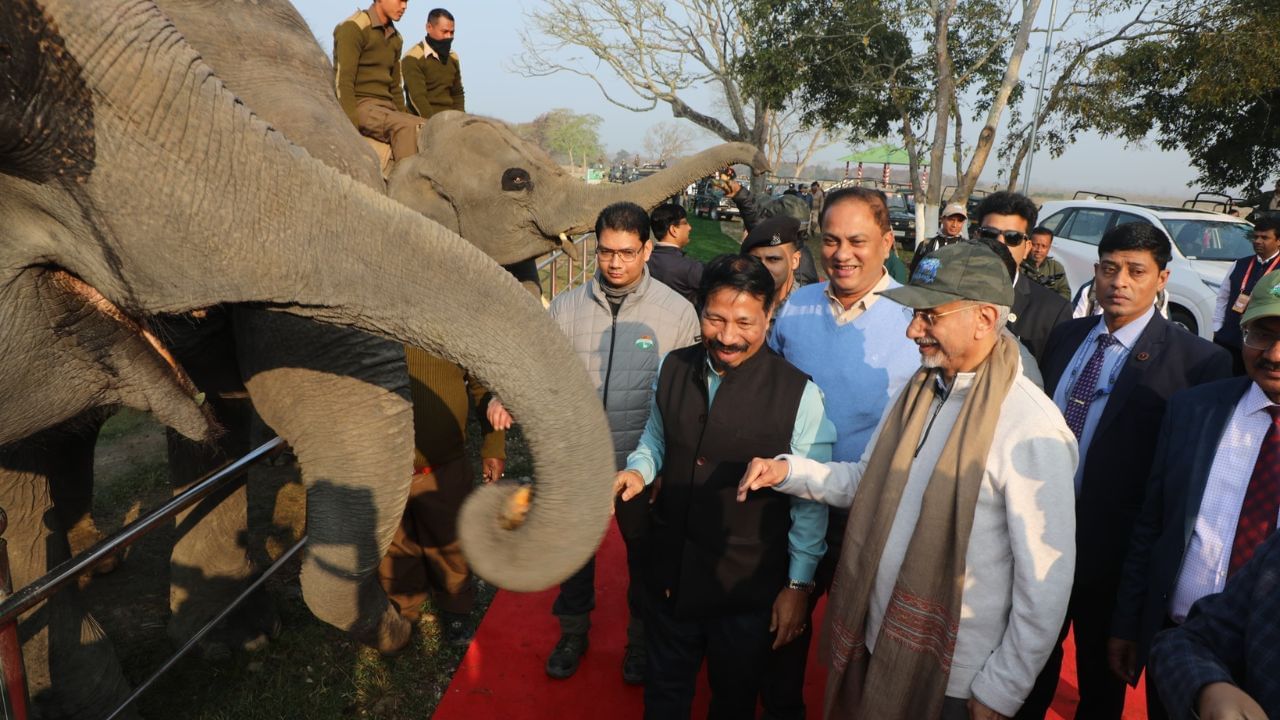 কাইলৈৰ পৰা আৰম্ভ হ’ব অসম চৰকাৰৰ অভিলাসী কাৰ্যসূচী এডভাণ্টেজ আছাম ২.০। এই সন্মিলনৰ বাবে দেওবাৰে নিশা গুৱাহাটীত উপস্থিত হয় বিদেশ মন্ত্ৰী এছ জয়শংকৰ। তেওঁৰ লগতে ৪৫ খন দেশৰ প্ৰতিনিধিও সন্মিলনত অংশগ্ৰহণৰ বাবে অসমলৈ আহিছে। এই প্ৰতিনিধিসকলৰ সৈতে আজি পুৱাতে কাজিৰঙা ৰাষ্ট্ৰী উদ্যান পৰিদৰ্শন কৰে বিদেশ মন্ত্ৰীগৰাকীয়ে।