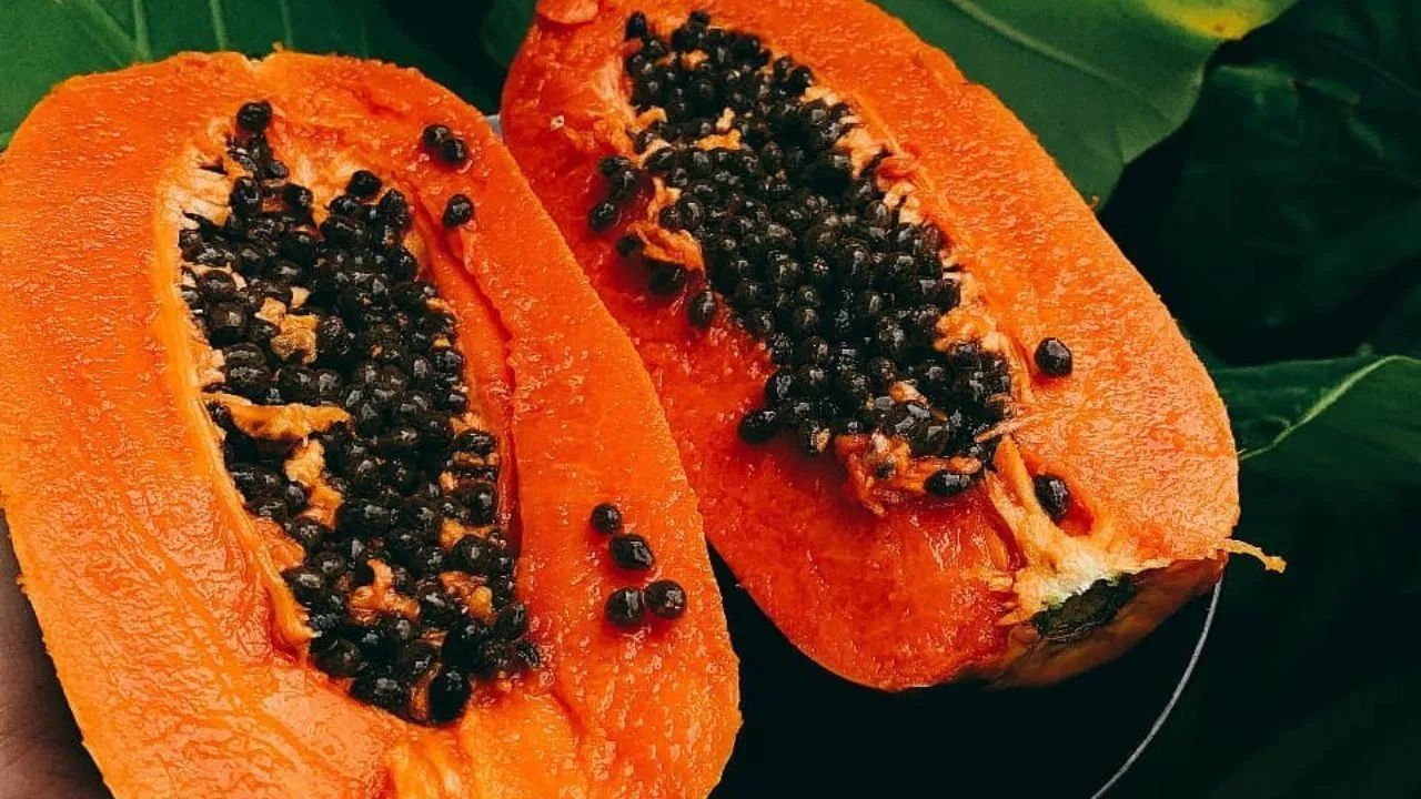 অমিতাৰ গুটিৰো আছে অনেক স্বাস্থ্য উপকাৰী গুণঃ এইদৰে ব্যৱহাৰ কৰিলে পাব সুফল অমিতাৰ গুটিৰো আছে অনেক স্বাস্থ্য উপকাৰী গুণঃ এইদৰে ব্যৱহাৰ কৰিলে পাব সুফল