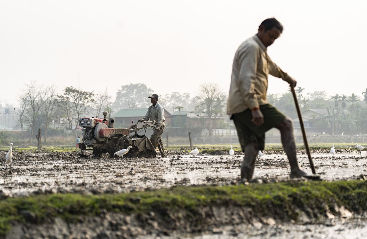 নিৰ্দলীয় বিধায়ক অখিল গগৈৰ এক প্ৰশ্নৰ উত্তৰত সিংহলে কয় যে, ২০১৫-১৬ চনত ৰাজ্যৰ মুঠ কৃষিভূমি আছিল ৩৫.০৯ লাখ হেক্টৰ, যিটো ২০২৪-২৫ চনত ৩৪.৯৪ লাখ হেক্টৰলৈ হ্ৰাস পাইছে ।