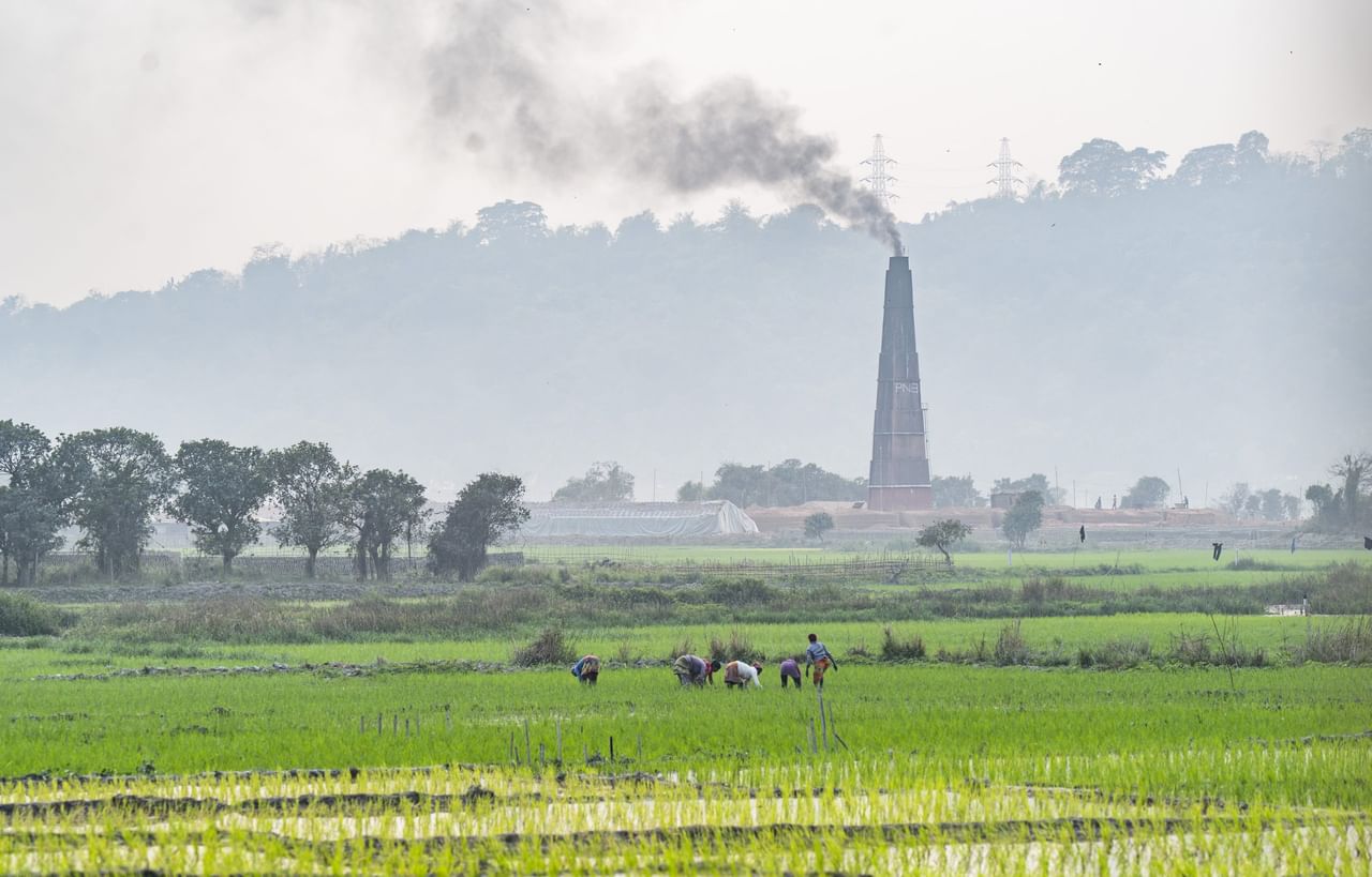 ২০২৪-২৫ চনত নিকা জলসিঞ্চিত ভূমি আৰু মুঠ জলসিঞ্চিত ভূমি ক্ৰমে ৬.৯৫ লাখ হেক্টৰ আৰু ৮.৮০ লাখ হেক্টৰ আছিল, যিটো মুঠ কৃষিভূমিৰ ২৪.২৮ শতাংশ বুলিও তেওঁ লগতে কয় ।