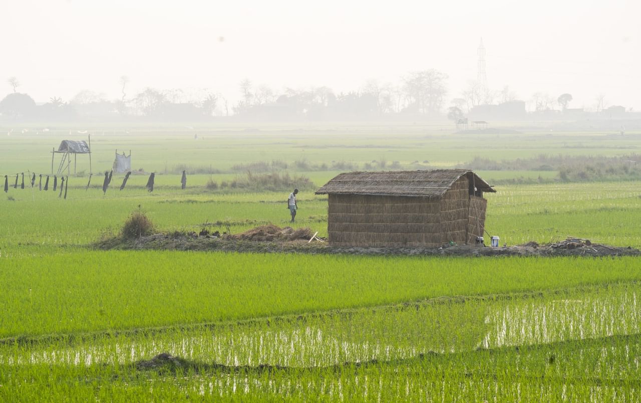 মন্ত্ৰীগৰাকীয়ে কয় যে ২০১৫-১৬ চনত নিকা জলসিঞ্চিত ভূমি আৰু মুঠ জলসিঞ্চিত ভূমি ক্ৰমে ৩.২৫ লাখ হেক্টৰ আৰু ৪.৫৫ লাখ হেক্টৰ আছিল, যিটো ৰাজ্যৰ মুঠ কৃষিভূমিৰ ১১.৬০ শতাংশ আছিল ।