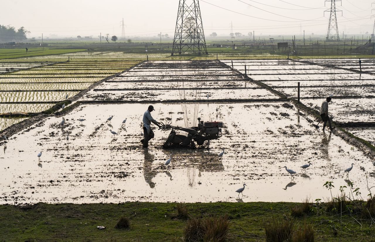 তেওঁ লগতে কয় যে একে সময়ছোৱাত নিকা কৃষি ভূমি ২৮.০১ লাখ হেক্টৰৰ পৰা ২৮.৬২ লাখ হেক্টৰলৈ সামান্যভাৱে বৃদ্ধি পাইছে ।