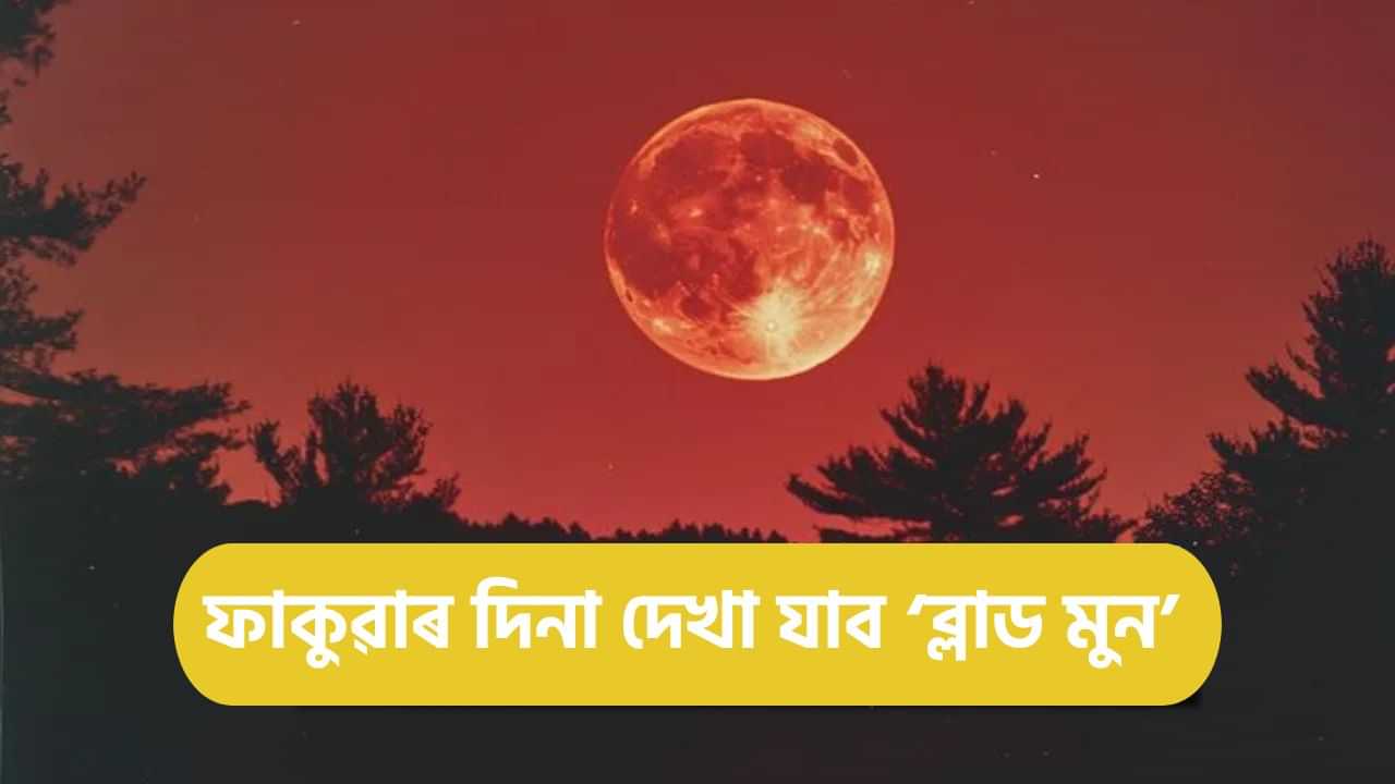 Blood Moon 2025: ফাকুৱাৰ দিনা আকাশত দেখা যাব ‘ব্লাড মুন’,  ক’ত, কেনেকৈ দৃশ্যমান হব এই বিৰল পৰিঘটনা?