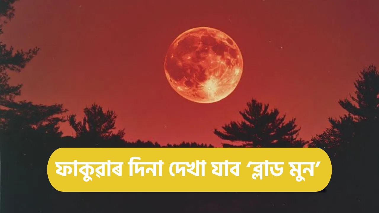 Blood Moon 2025: ফাকুৱাৰ দিনা আকাশত দেখা যাব ‘ব্লাড মুন’,  ক’ত, কেনেকৈ দৃশ্যমান হ’ব এই বিৰল পৰিঘটনা?