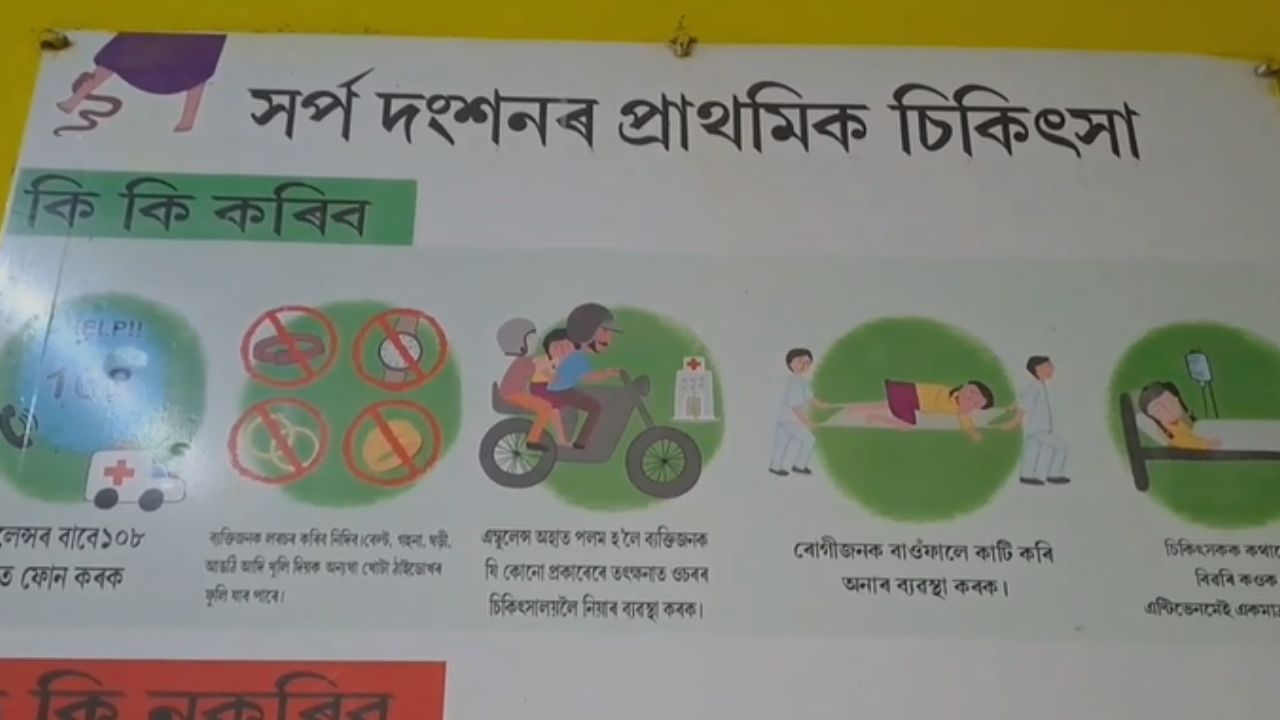 বিশ্বৰ ভিতৰতে এই ঘটনা বিৰল। ক'লা শংখচূড় সাপে দংশন কৰিছিল মহিলাগৰাকীক। এই সাপে দিন আৰু ৰাতি পৃথক আচৰণ প্ৰদৰ্শন কৰে। দিনত ই লেহেমীয়া আৰু সাধাৰণতে নম্ৰ। প্ৰায়ে নিগনিৰ গাঁত, ঢিলা মাটি বা ধ্বংসাৱশেষৰ তলত লুকাই থাকে, গতিকে ইয়াক খুব কমেইহে দেখা যায়।