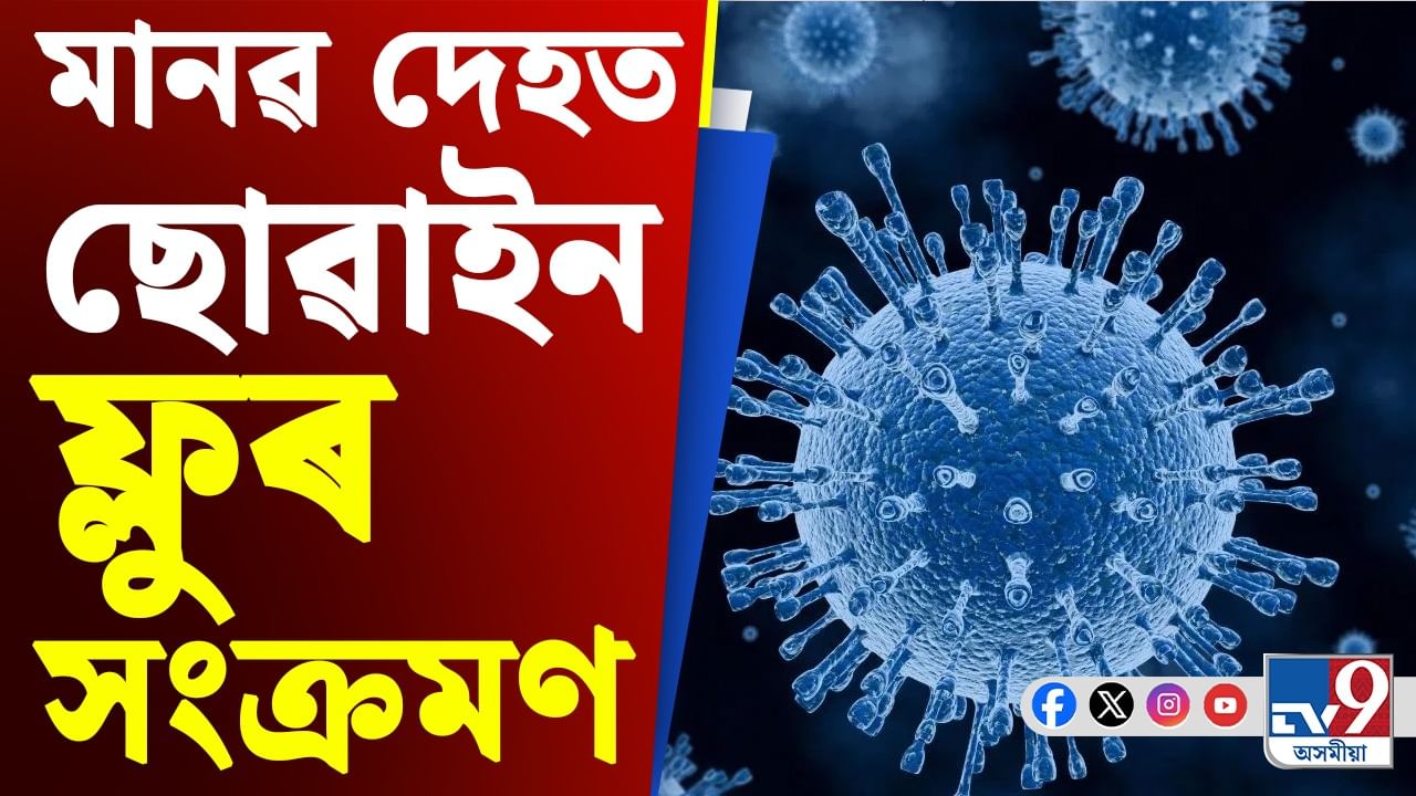 H1N1 Virus: মানুহৰ দেহলৈ বিয়পিছে ছোৱাইন ফ্লু, ৬ জনৰ মৃত্যুৰ খবৰ