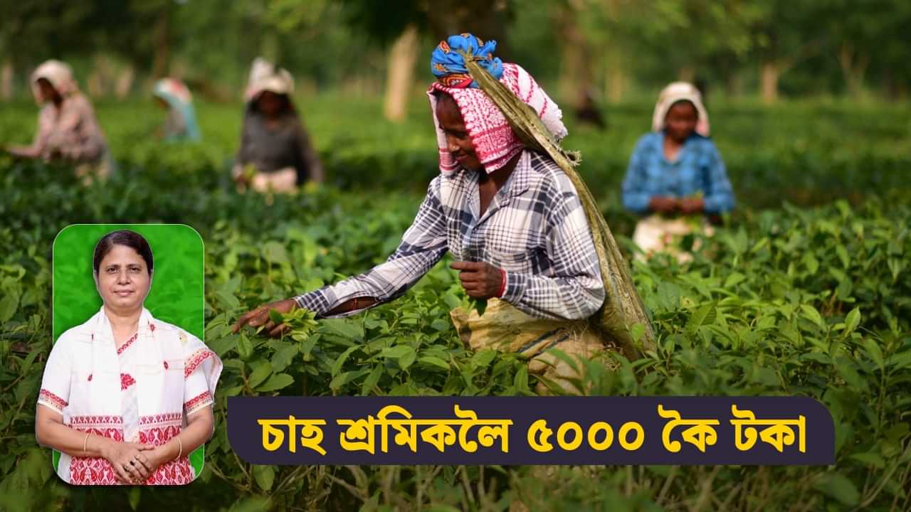 অসম বাজেট ২০২৫-২৬: চাহ শ্ৰমিকৰ বাবে বিত্তমন্ত্ৰীয়ে ঘোষণা কৰিলে আৰ্থিক সাহায্য, কিমান টকাকৈ পাব এজন শ্ৰমিকে?