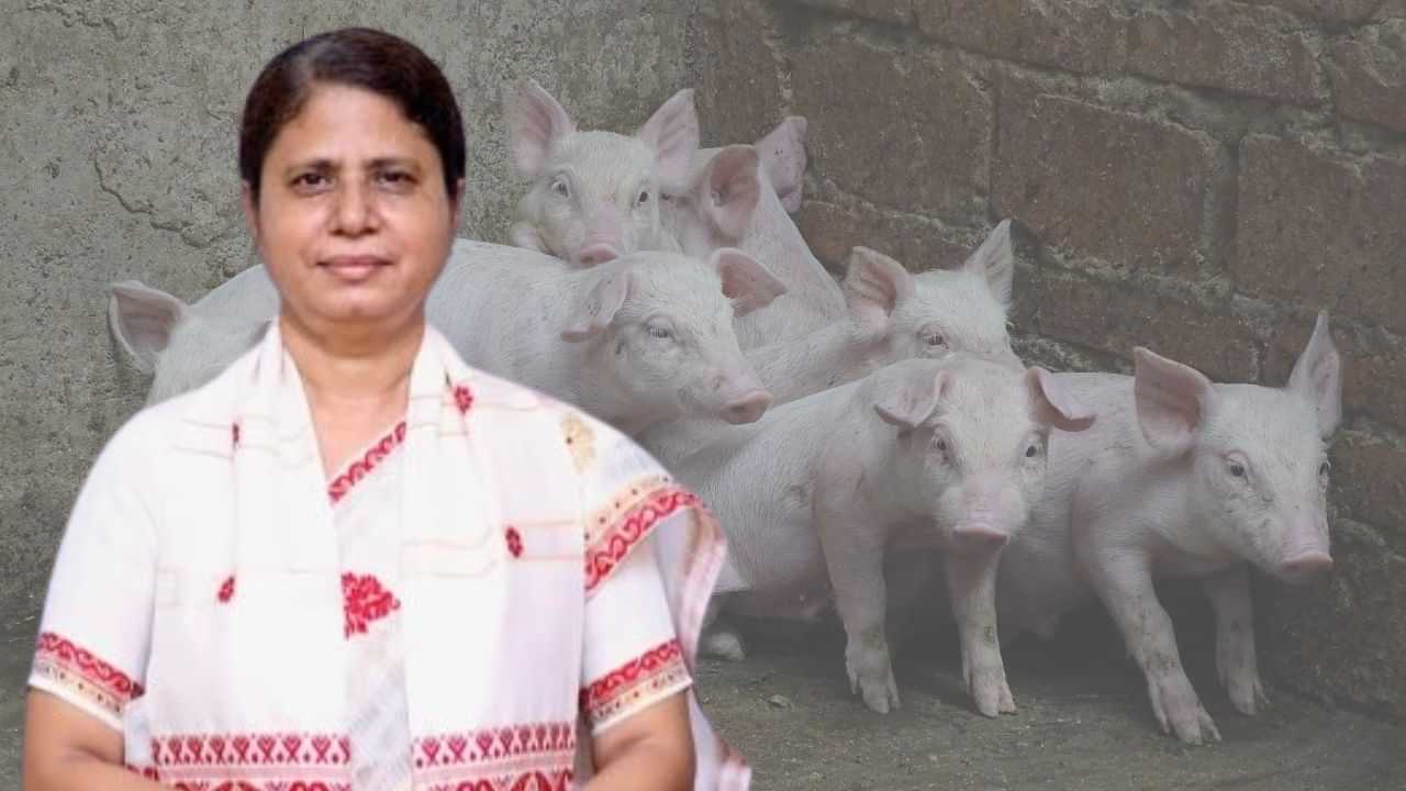 Assam Budget 2025-26 : গাহৰি পালকসকলৰ বাবে আশাৰ বতৰা ! পশুপালন আৰু পশু চিকিৎসা বিভাগৰ বাবে আবণ্টন ৬৩৬ কোটি টকা