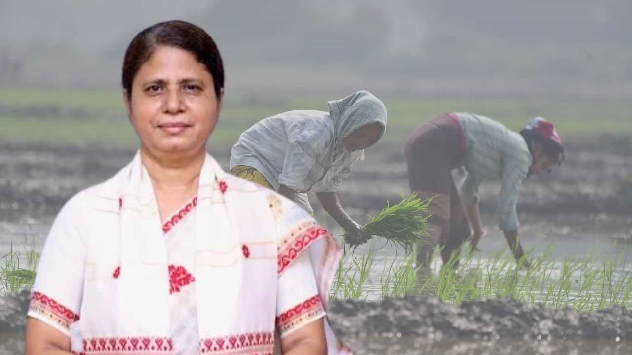 Assam Budget 2025-26: কৃষি ক্ষেত্ৰখনক কেনেদৰে আগুৱাই নিছে ৰাজ্য চৰকাৰে ? বাজেটত কিমান টকা দিয়া হৈছে আবণ্টন ?