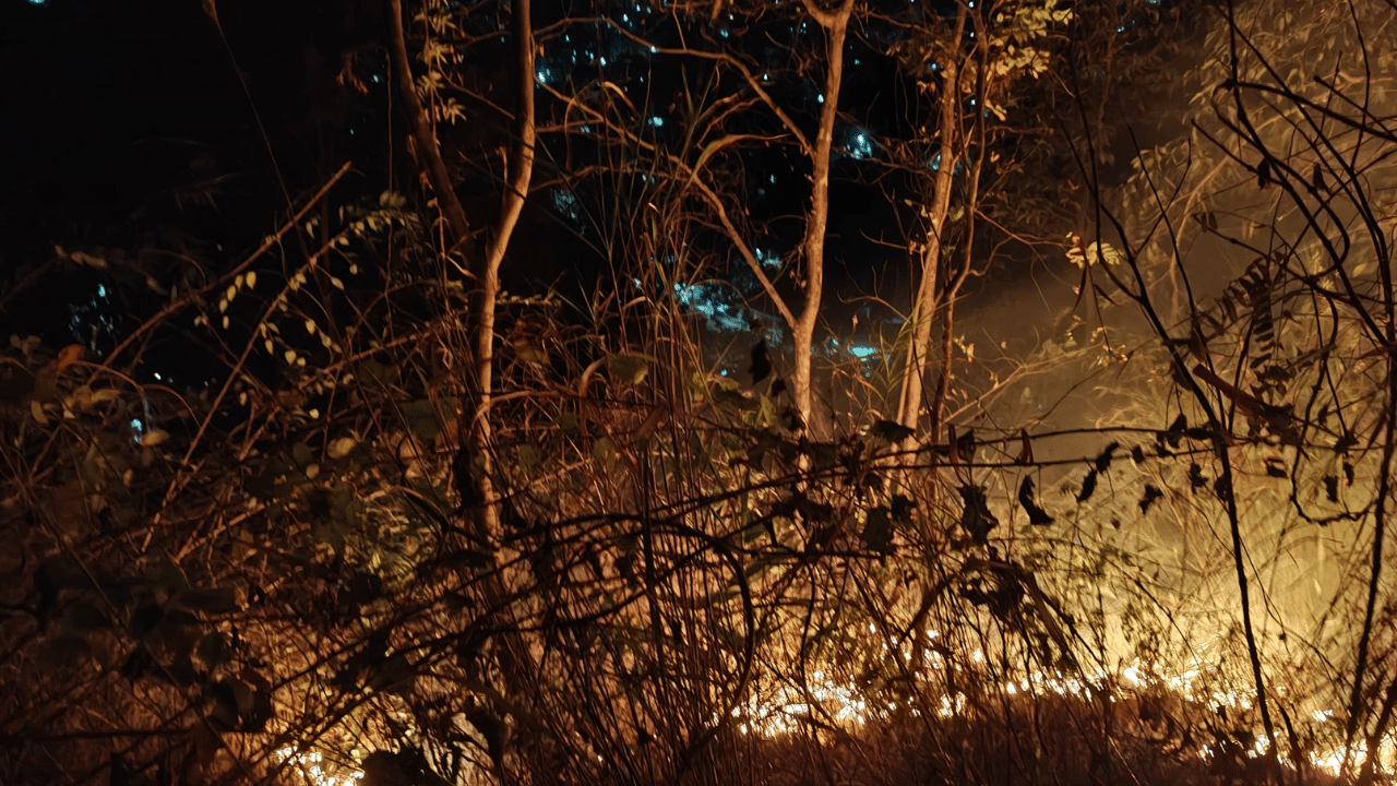 ইয়াৰোপৰি বঙাইগাঁৱপ চাপৰাকাটাতো বনজুইৰ ঘটনা সংঘটিত হয়। এই বনজুইয়ে ইমানেই ভয়ংকৰ ৰূপ ধৰে যে জনাঞ্চললৈ জুই বিয়পি পৰে। ইয়াৰ ফলত ৰাইজৰ মাজত আতংকৰ সৃষ্টি হয়।পৰৱৰ্তী সময়ত আৰক্ষী, অগ্নি-নিৰ্বাপক বাহিনী উপস্থিত হৈ বহু চেষ্টাৰ অন্তত জুই নিয়ন্ত্ৰণ কৰিবলৈ সক্ষম হয়।