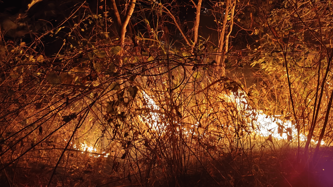 এই সন্দৰ্ভত অসম আৰক্ষীয়ে সামাজিক মাধ্যমত এক পোষ্ট কৰিছে। বনজুইৰ ফটো শ্বেয়াৰ কৰি আৰক্ষীয়ে কৈছে যে শুকান বতৰৰ বাবে অৰণ্য, বাঁহৰ বাগিচা, ঘাঁহ আদিত জুই লাগিছে। জনসাধাৰণৰ সুৰক্ষা নিশ্চিত কৰাৰ বাবে ২৪/৭ অক্লান্তভাৱে কাম কৰি আছে বিভাগীয় বিষয়াসকলে। গতিকে সকলোকে সাৱধানে থাকিবলৈ আহ্বান জনাই আৰক্ষীয়ে।