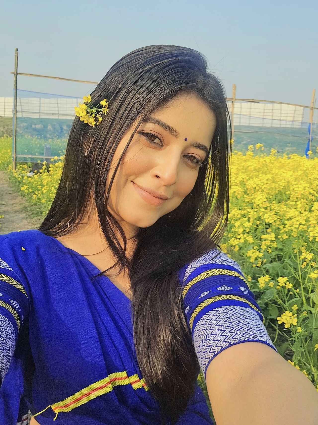 তেওঁ আকৌ লিখিছে, "প্ৰশ্ন কৰাটো যদি অপৰাধ হয়, গণতন্ত্ৰই শাস্তি ভুগে"। ইয়াত নাম উল্লেখ নকৰিলেও ক'ব পাৰি যে দীপলীনাই সাংবাদিক দিলোৱাৰ হুছেইন মজুমদাৰৰ কথাকে কৈছে।