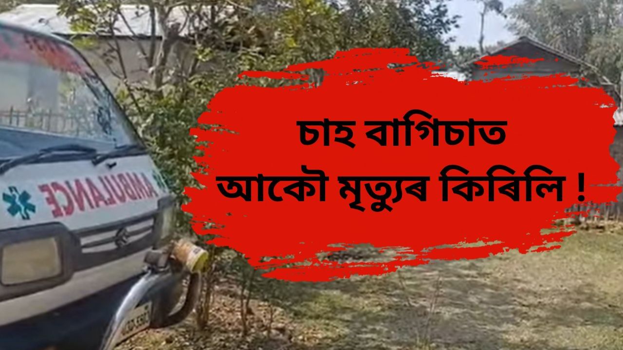 আকৌ মৃত্যুৰ কিৰিলি, নুমলীগড়ৰ লেটেকুজান চাহ বাগিচাত অবৈধ চুলাই সেৱন কৰি মৃত্যু দুজনৰ !