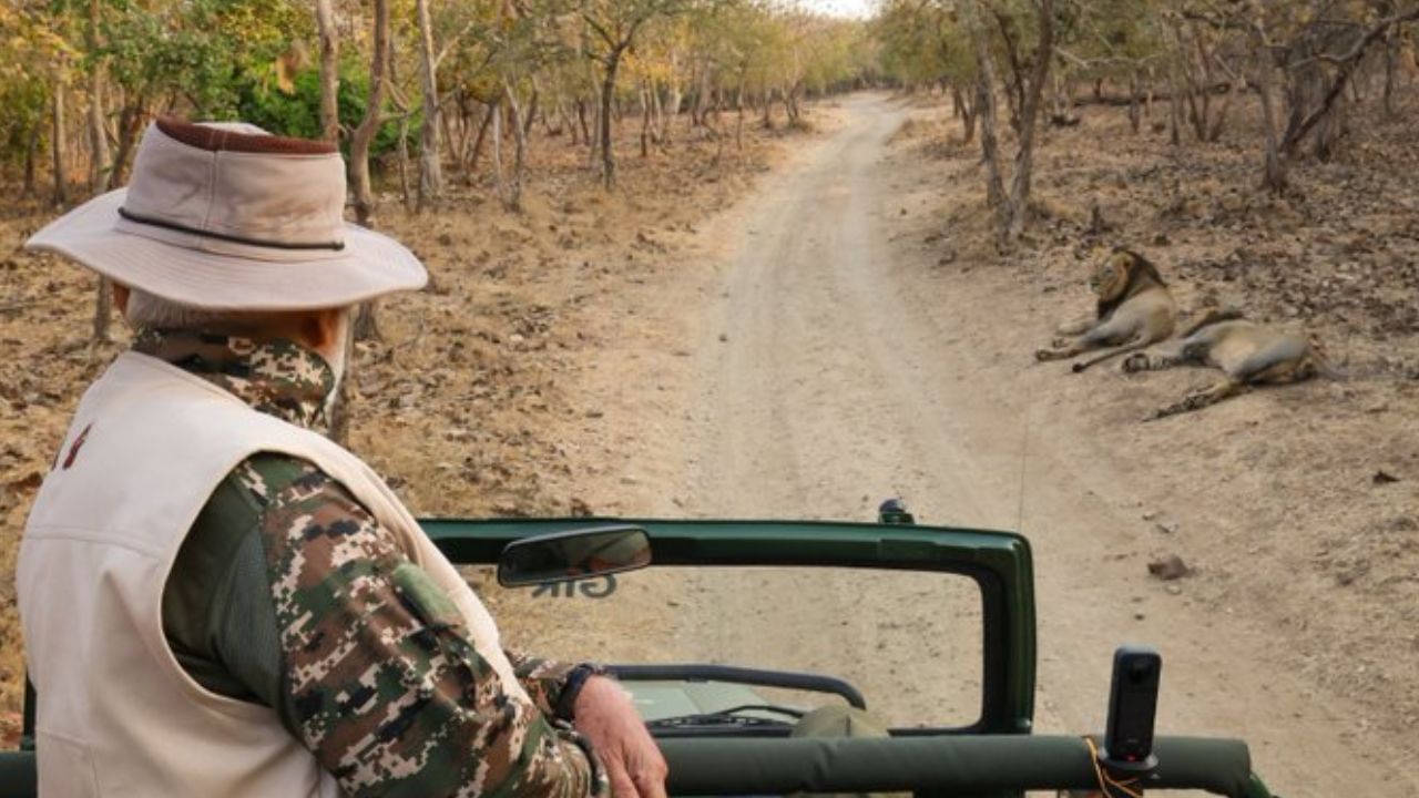 PM Modi in Gir: গিৰ অভয়াৰণ্যত সিংহ দেখি অভিভূত প্ৰধানমন্ত্ৰী…মনত পেলালে মুখ্যমন্ত্ৰিত্বৰ কাললৈ