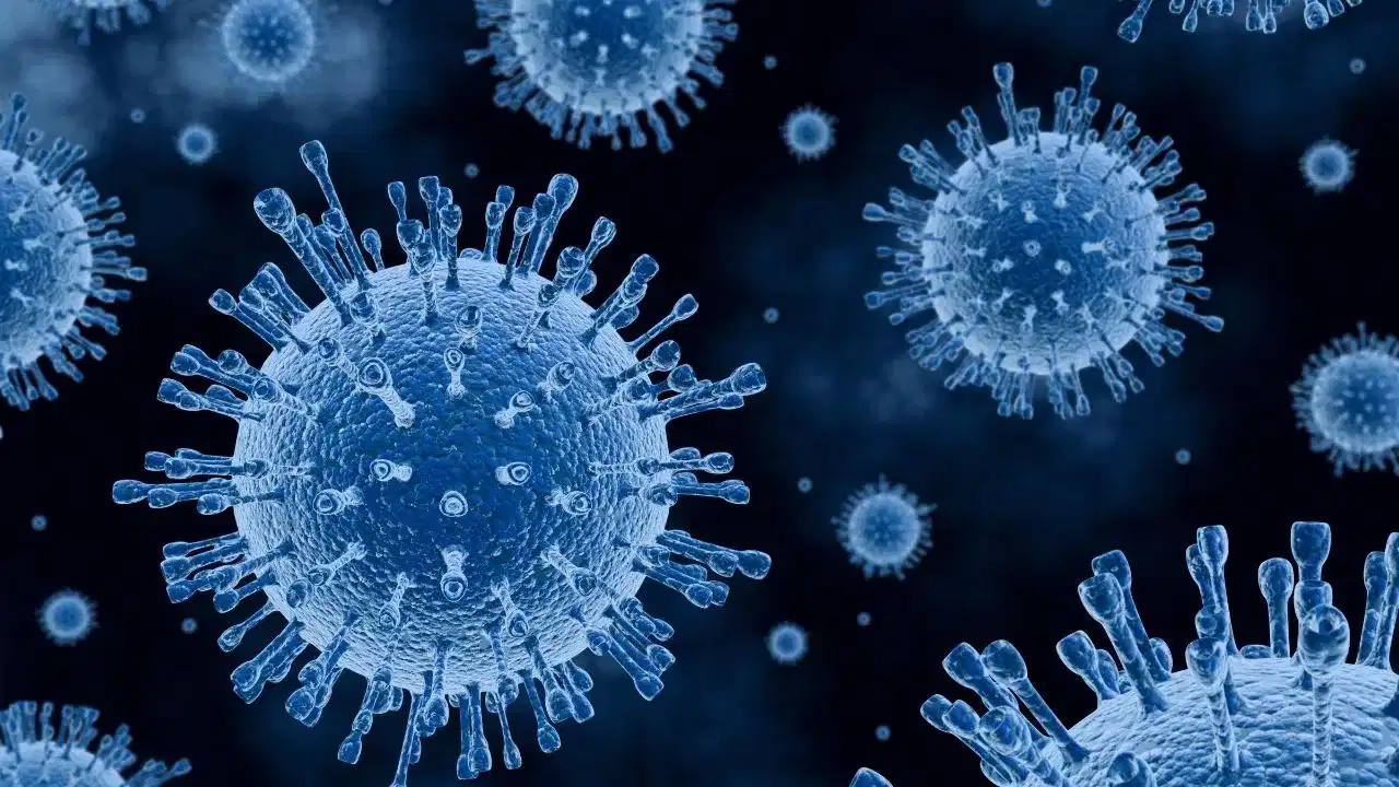 H1N1 Virus: মানৱ দেহত ছোৱাইন ফ্লুৰ সংক্ৰমণ! নতুনকৈ আক্ৰান্ত হৈছে ৫১৬ জন লোক, ৬ জনৰ মৃত্যু