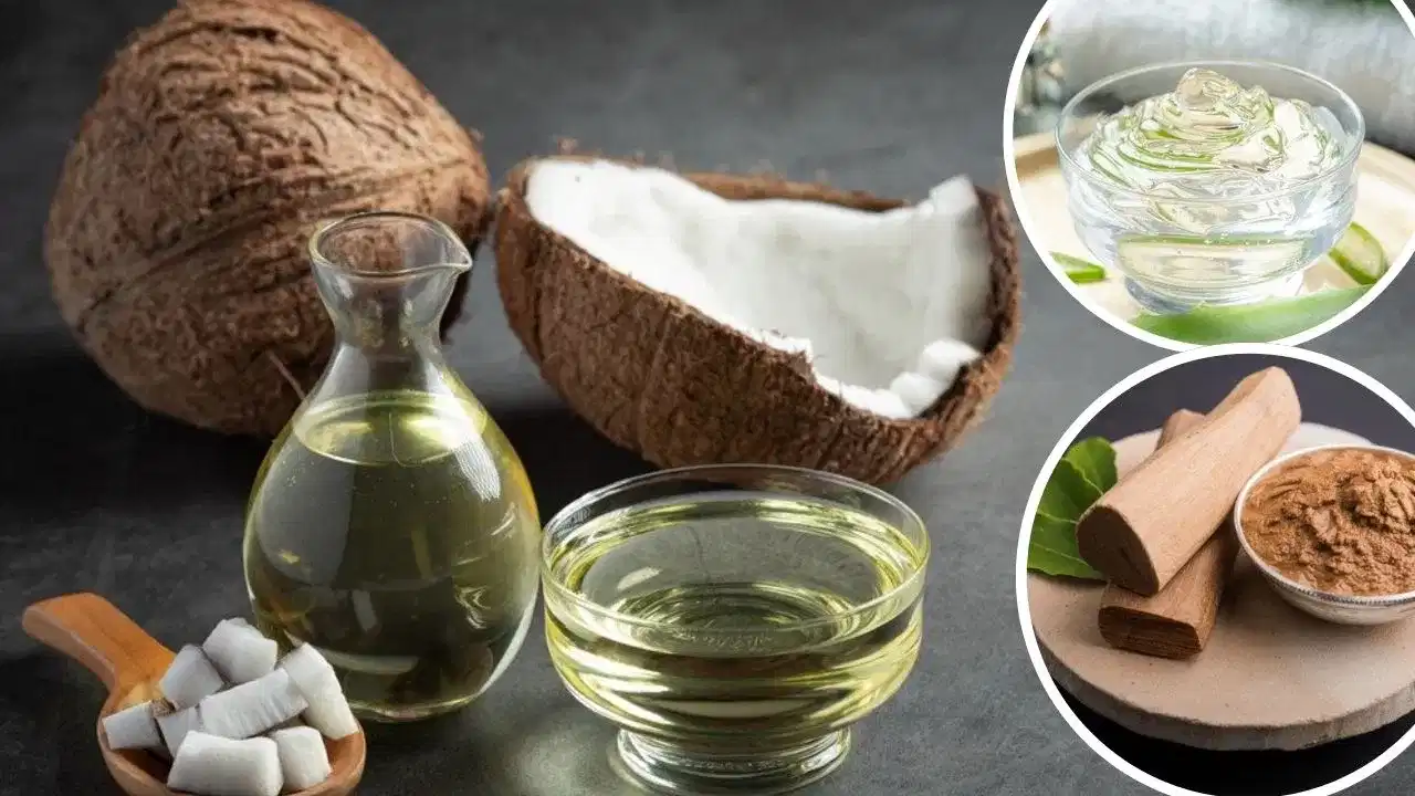 নাৰিকল তেলৰ সৈতে এই ৫ বিধ সামগ্ৰী মিহলাই লগাওক, উজ্জ্বল হৈ পৰিব আপোনাৰ মুখ নাৰিকল তেলৰ সৈতে এই ৫ বিধ সামগ্ৰী মিহলাই লগাওক, উজ্জ্বল হৈ পৰিব আপোনাৰ মুখ