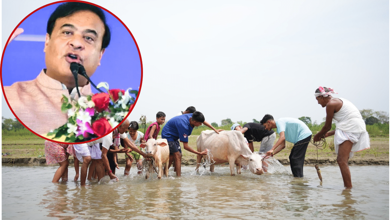গৰু বিহুক লৈ মুখ্যমন্ত্ৰীৰ বিশেষ পোষ্ট, কি ক’লে হিমন্ত বিশ্ব শৰ্মাই… গৰু বিহুক লৈ মুখ্যমন্ত্ৰীৰ বিশেষ পোষ্ট, কি ক’লে হিমন্ত বিশ্ব শৰ্মাই…