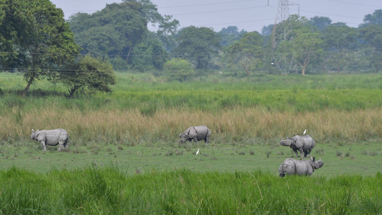 ২০২১ চনৰ ফেব্ৰুৱাৰী মাহত প্রতিষ্ঠানখনৰ আধাৰশিলা স্থাপন কৰিছিল প্ৰাক্তন মুখ্যমন্ত্ৰী সৰ্বানন্দ সোণোৱালে । এই প্ৰতিষ্ঠানখন স্থাপন কৰাৰ উদ্দেশ্য হৈছে- জৈৱ বৈচিত্ৰ্য সংৰক্ষণ আৰু গৱেষণা আৰু অধ্যয়নৰ সুবিধা প্ৰদান কৰা।