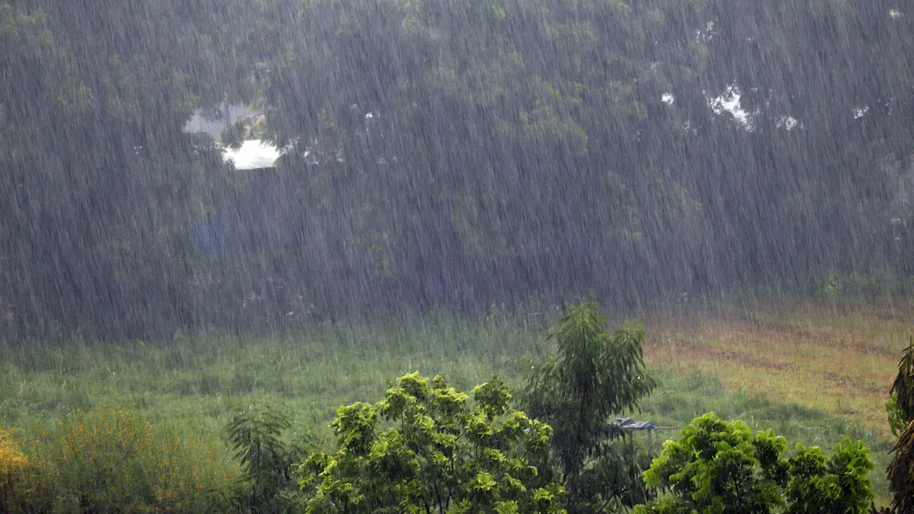 ইয়াৰ মাজতে ৰাজ্যৰ ১৭খনকৈ জিলাত Yellow Alert, ৪খনকৈ জিলাত Orange Alert জাৰি কৰিছে বতৰ বিজ্ঞান বিভাগে। সকলোকে সাৱধান হৈ থাকিব আহ্বান জনোৱা হৈছে।