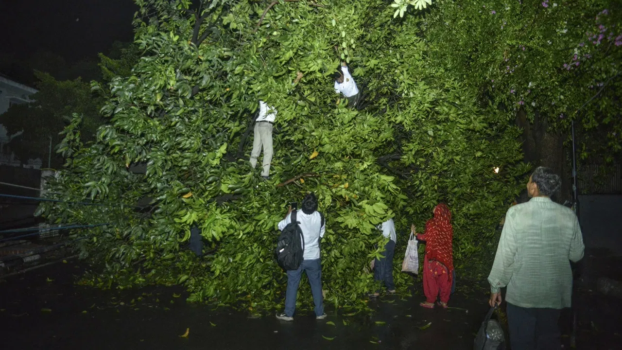 দিল্লীত পথৰ মাজতে গছ বাগৰি পৰে