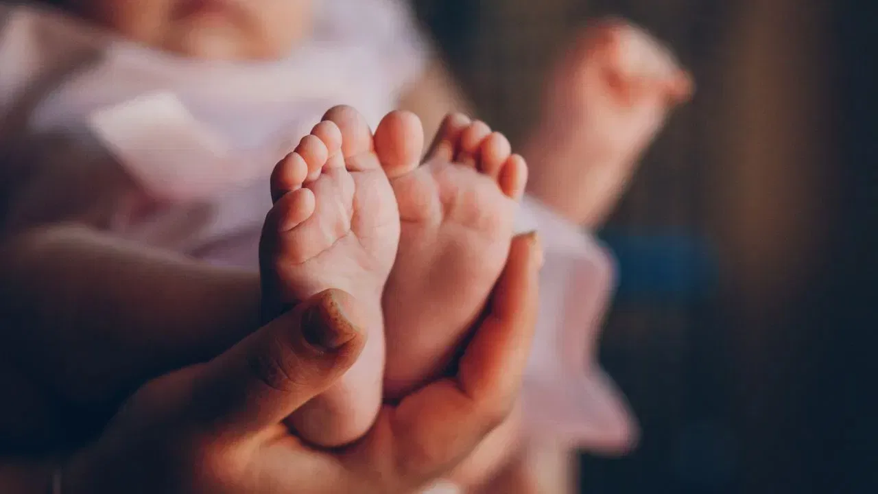Assamese Baby Names: আপোনাৰ নৱজাতকক কি নামেৰে নামকৰণ কৰিব? এই আধুনিক নামকেইটাৰ পৰা লওক সহায় Assamese Baby Names: আপোনাৰ নৱজাতকক কি নামেৰে নামকৰণ কৰিব? এই আধুনিক নামকেইটাৰ পৰা লওক সহায়