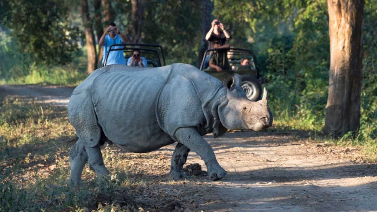 ১৯ মে’ৰ পৰা অনিৰ্দিষ্টকাললৈ বন্ধ কাজিৰঙাৰ জীপ ছাফাৰী...