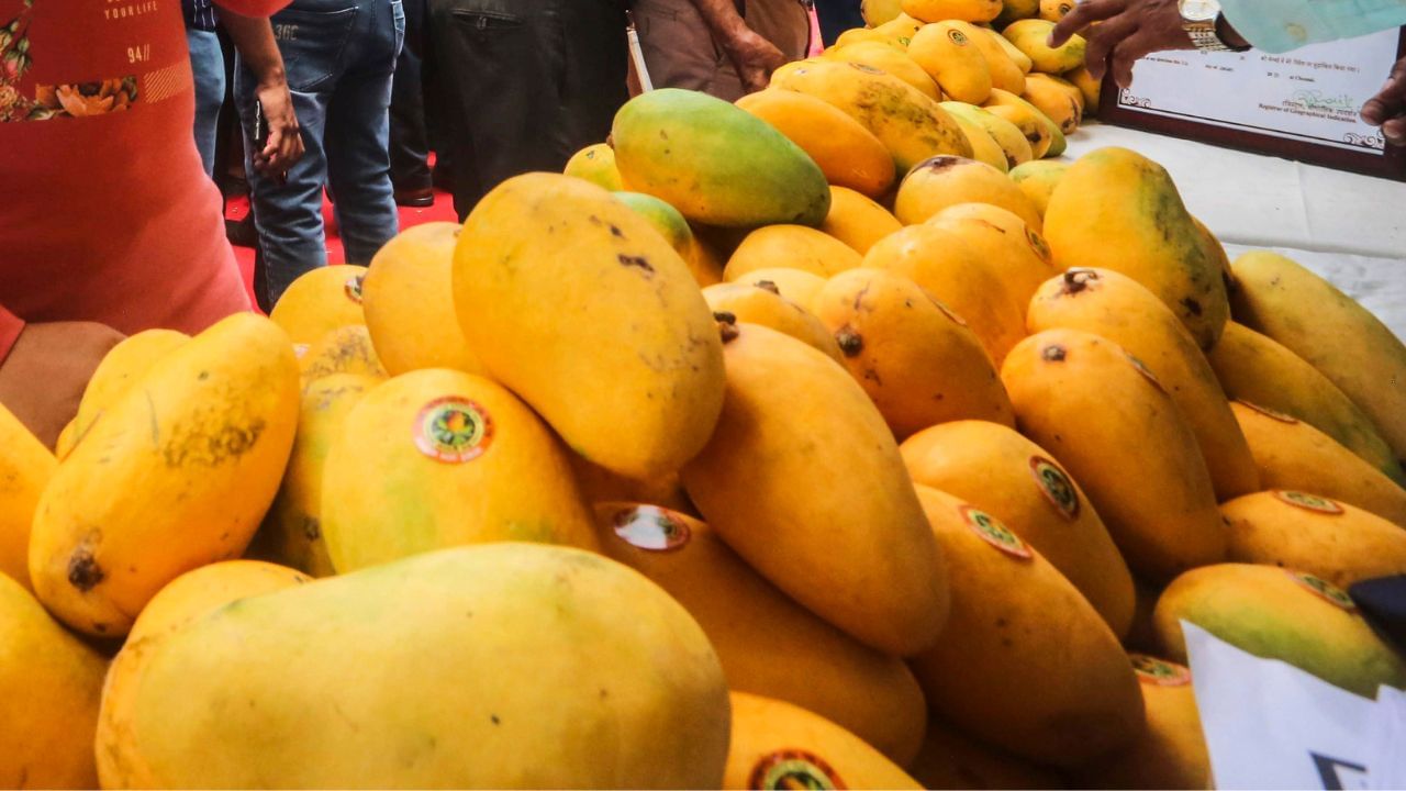 লোভ সামৰিব নোৱাৰি নিশাও খাইছে নেকি আম! সাৱধান, লোভ ত্যাগ নকৰিলে হ’ব পাৰে এনে সমস্যা… লোভ সামৰিব নোৱাৰি নিশাও খাইছে নেকি আম! সাৱধান, লোভ ত্যাগ নকৰিলে হ’ব পাৰে এনে সমস্যা…