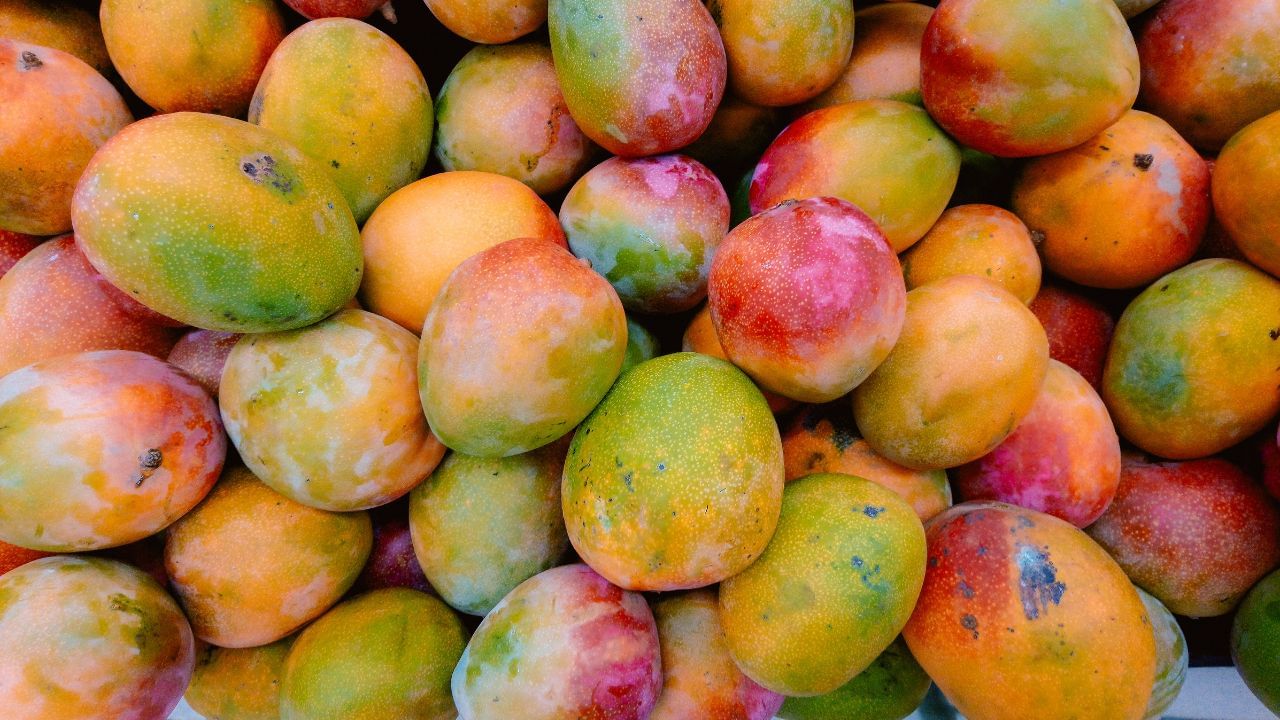 ভাৰতৰ পৰা ৰপ্তানি কৰা আমৰ ১৫ টা চিপমেণ্ট বাতিল কৰিলে আমেৰিকাই, কিন্তু কিয় ? ভাৰতৰ পৰা ৰপ্তানি কৰা আমৰ ১৫ টা চিপমেণ্ট বাতিল কৰিলে আমেৰিকাই, কিন্তু কিয় ?