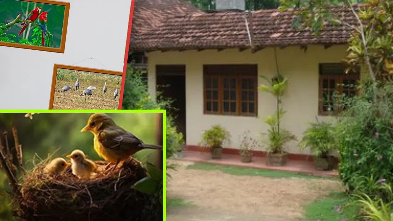 Vastu Tips: ঘৰৰ কোনটো দিশত চৰাইৰ ফটো ৰাখিলে আহে সুখ-শান্তি? জানক বাস্তু শাস্ত্ৰৰ বিষয়ে… Vastu Tips: ঘৰৰ কোনটো দিশত চৰাইৰ ফটো ৰাখিলে আহে সুখ-শান্তি? জানক বাস্তু শাস্ত্ৰৰ বিষয়ে…