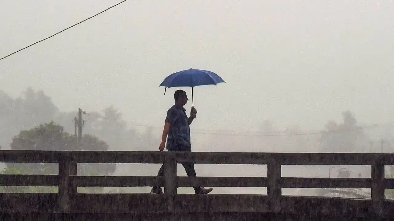 Rainy seasons: বৰষুণৰ বতৰত কেনেকৈ স্বাস্থ্য ভালে ৰাখিব? মনত ৰাখিব এই ৫টা কথা
