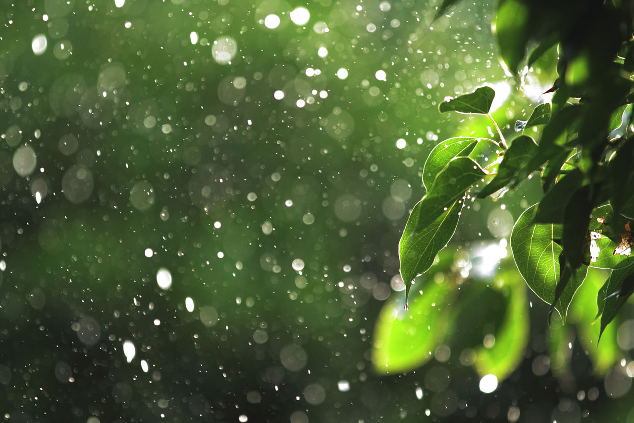 বতৰ বিজ্ঞানৰ তথ্য অনুসৰি গোৱালপাৰা, হাইলাকান্দি, ডিমা হাচাও,কোকৰাঝাৰ, শিৱসাগৰ, শ্ৰীভূমি, কাছাৰ, ধুবুৰী, দক্ষিণ শালমাৰা, ডিব্ৰুগড়, চৰাইদেউ, তিনিচুকীয়া জিলাত বৰষুণ হ'ব পাৰে। (Getty Images)
