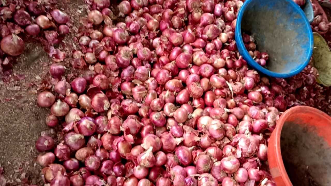 ১০০ টকা হব পাৰে প্ৰতি কেজি পিঁয়াজৰ দাম ! হাহাকাৰ পৰিস্থিতি মহাৰাষ্ট্ৰ কৃষকৰ...