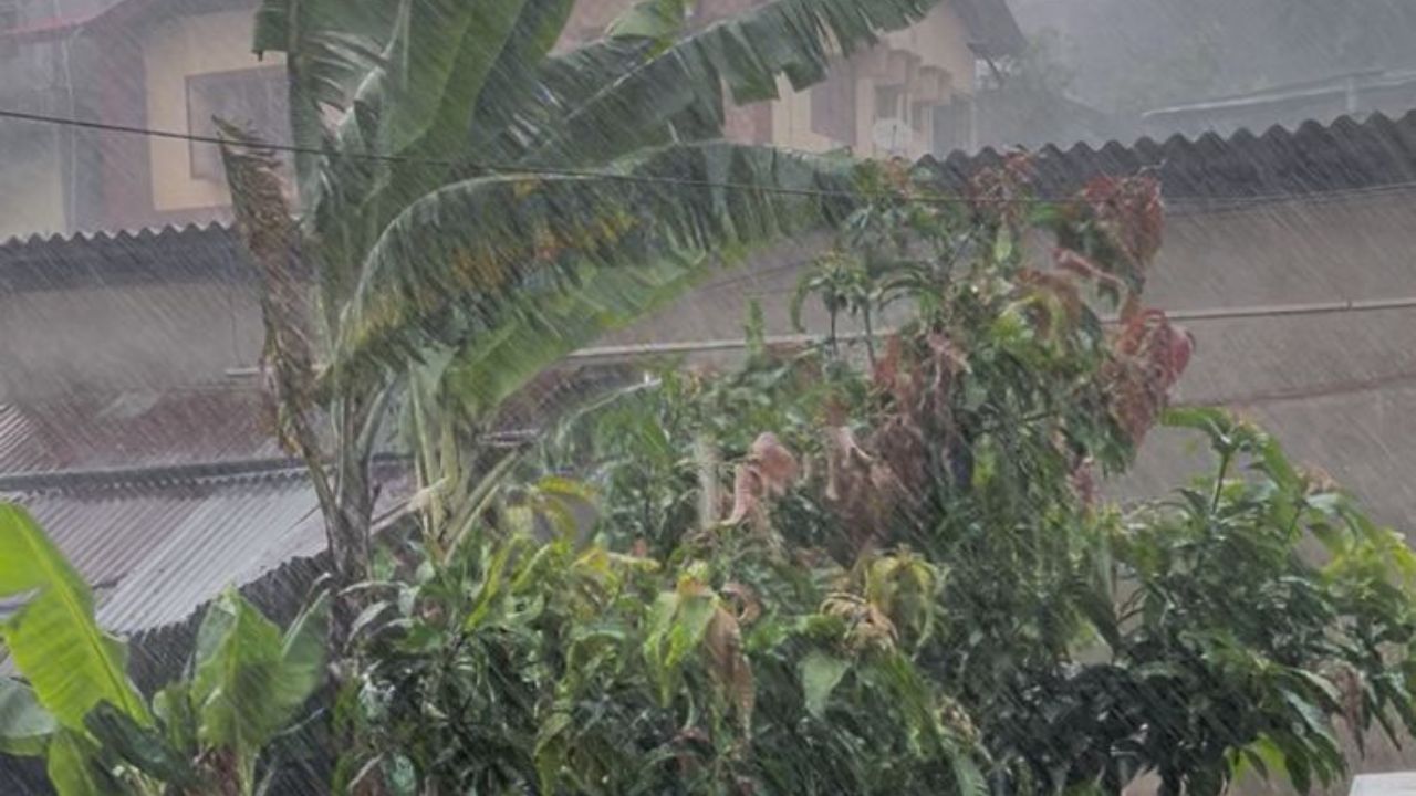 প্ৰচণ্ড গৰমৰ পাছত আহিল মুষলধাৰ বৰষুণ আৰু বতাহ ৷ ইতিমধ্যে বতৰ বিজ্ঞান কেন্দ্ৰই হাই এলাৰ্ট জাৰি কৰিছিল।