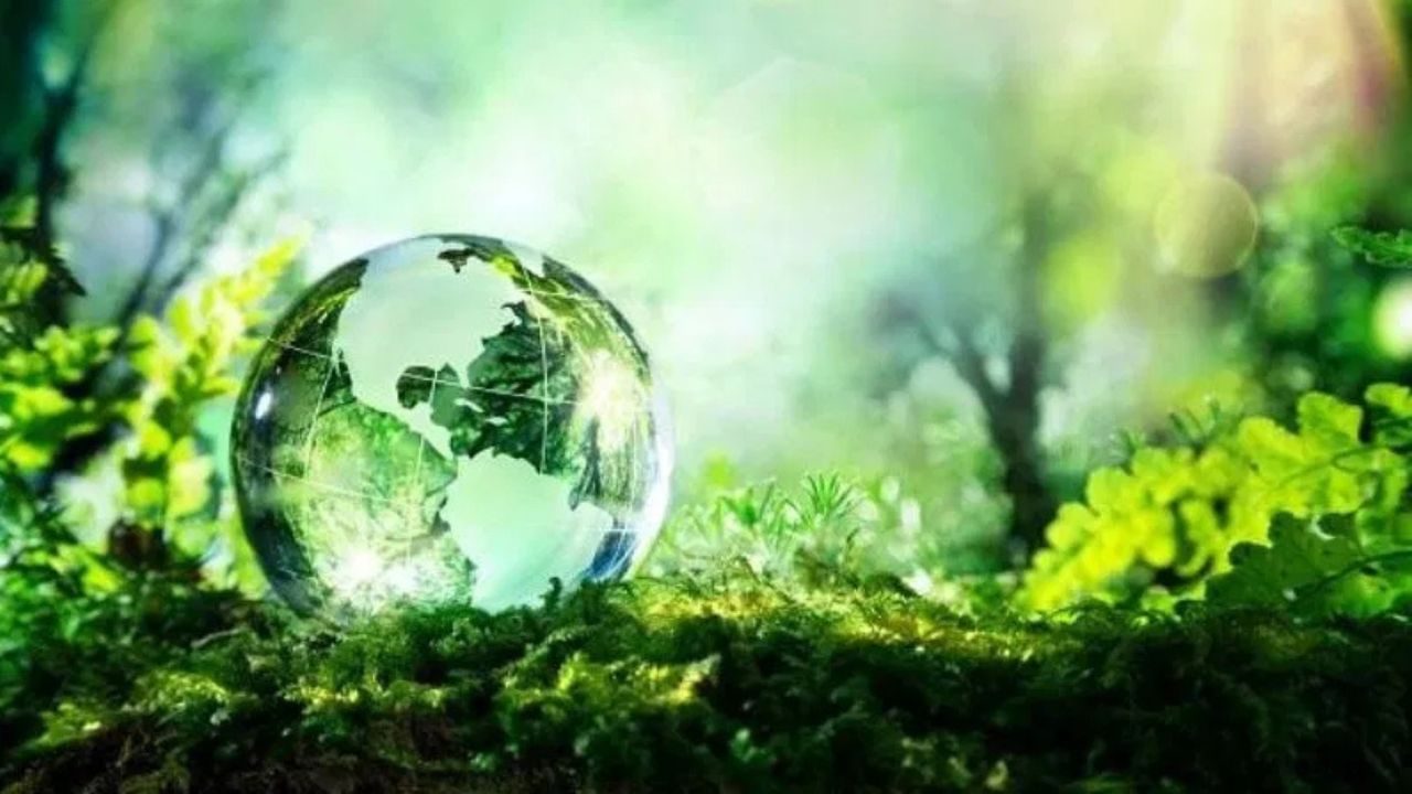 World Environment Day 2025: আজি বিশ্ব পৰিৱেশ দিৱস, জানক ইতিহাস, তাৎপৰ্য আৰু এইবৰ্ষৰ বিষয়বস্তু World Environment Day 2025: আজি বিশ্ব পৰিৱেশ দিৱস, জানক ইতিহাস, তাৎপৰ্য আৰু এইবৰ্ষৰ বিষয়বস্তু