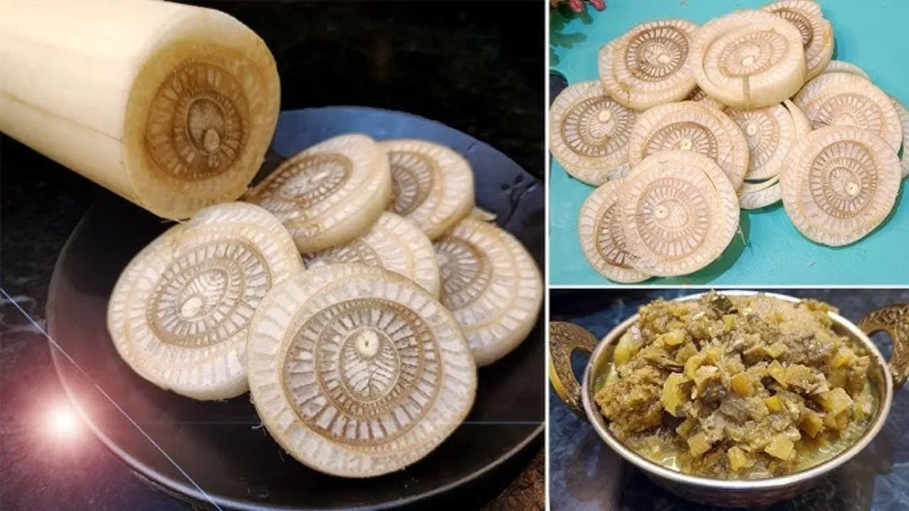 কল পচলা আপোনাৰ প্ৰিয় নেকি? কিদৰে ৰান্ধি খাব পাৰি পচলা? জানক ইয়াৰ উপকাৰী গুণৰ বিষয়ে কল পচলা আপোনাৰ প্ৰিয় নেকি? কিদৰে ৰান্ধি খাব পাৰি পচলা? জানক ইয়াৰ উপকাৰী গুণৰ বিষয়ে