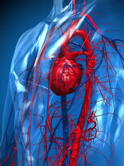 প্ৰতিদিনে খাওক এইসমূহ খাদ্য, দূৰ হ’ব হৃদৰোগৰ সমস্যা!