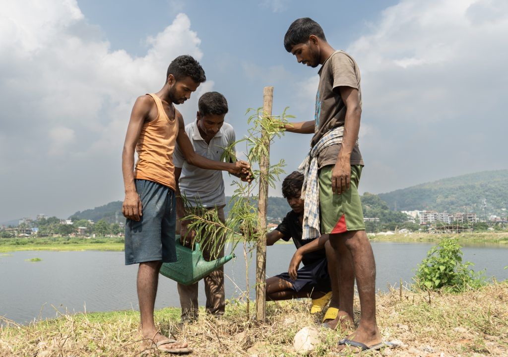 Ten Million Tree Plantation Drive In Assam, India