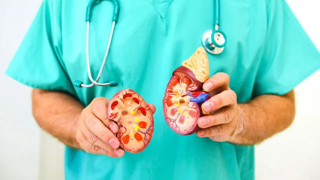 Kidney stone: বৃক্কত পাথৰ হোৱাৰ কাৰণ, লক্ষণ আৰু পৰিত্ৰাণৰ উপায়, সকলো জানক চিকিৎসকৰ পৰা… Kidney stone: বৃক্কত পাথৰ হোৱাৰ কাৰণ, লক্ষণ আৰু পৰিত্ৰাণৰ উপায়, সকলো জানক চিকিৎসকৰ পৰা…
